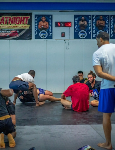 Professional MMA arena with cage and training mats